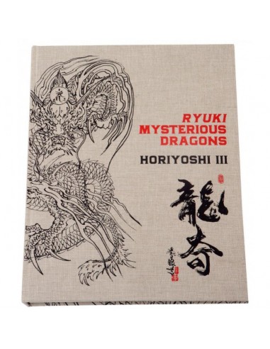 Ryuki Mysterious Dragons by HORIYOSHI III